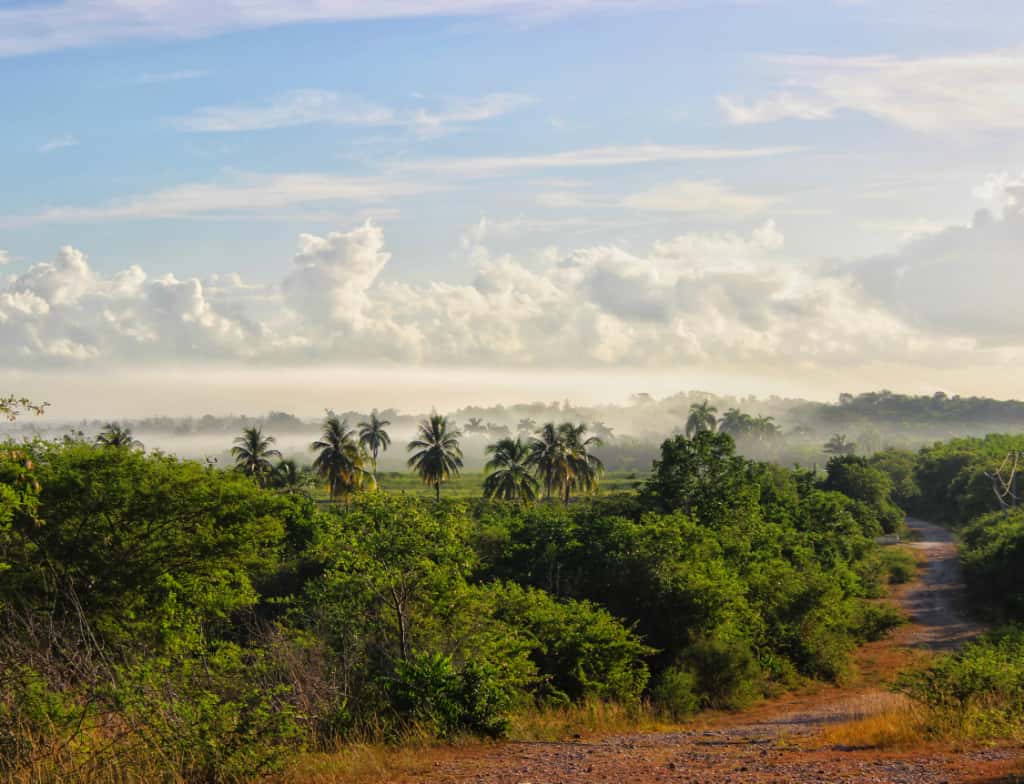 La teoría de la Tierra hueca